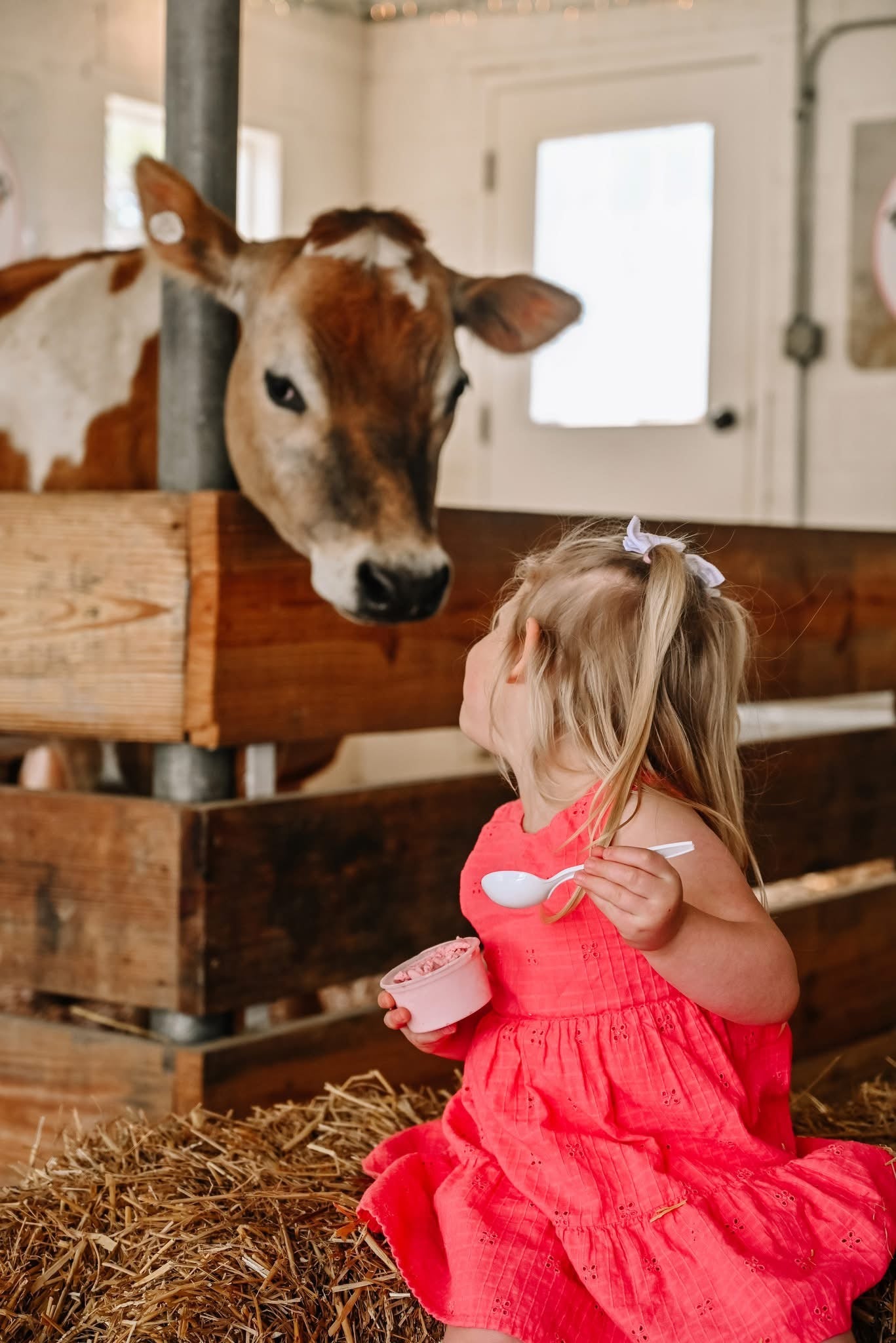 JB's Store Private Party