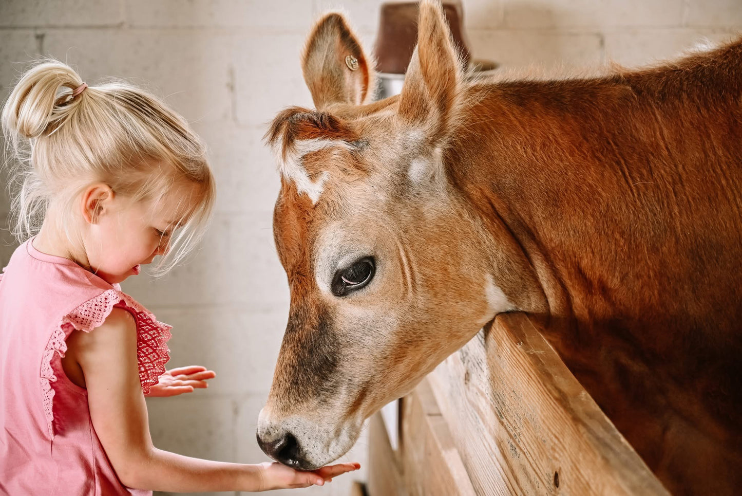 JB's Store Private Party