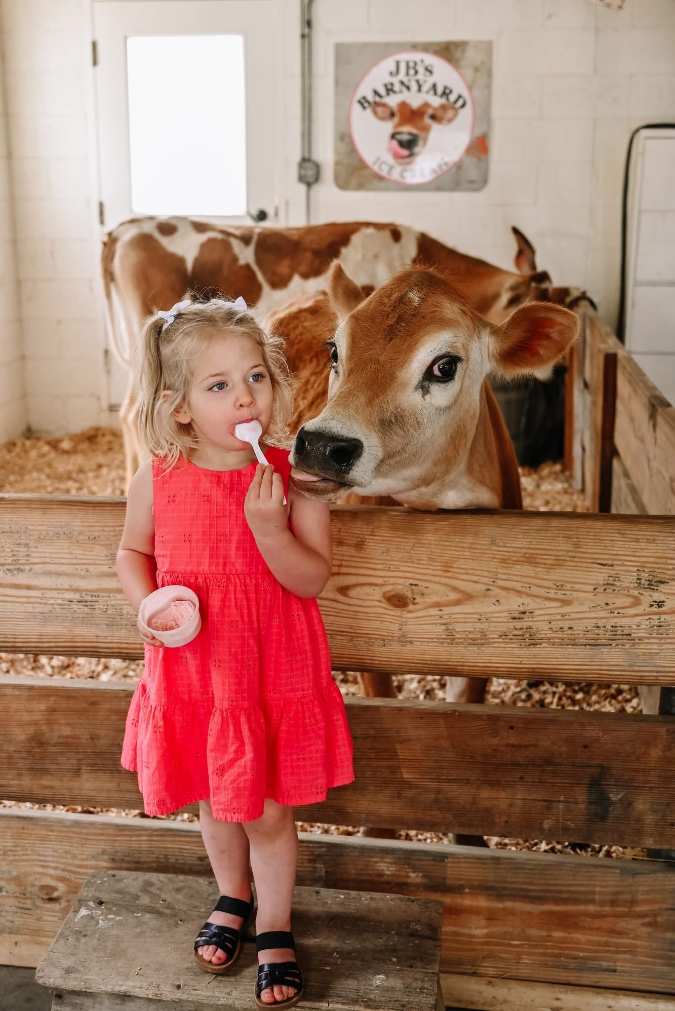 JB's Store Private Party